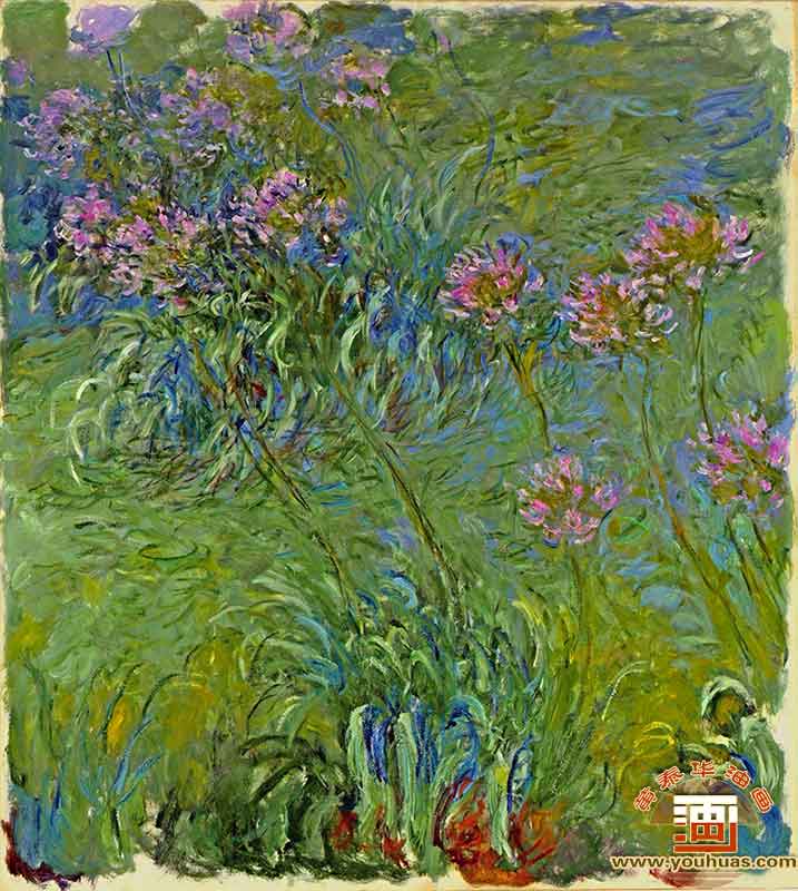 Agapanthus by Claude Monet_˄ڵ¡ĪͮƷp